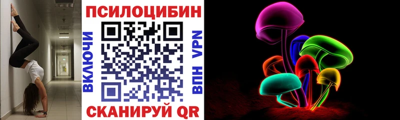 Псилоцибиновые грибы Cubensis  Заполярный 